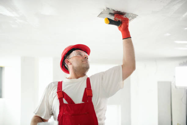 Best Eco-Friendly and Low-VOC Painting  in USA